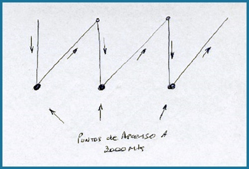 ero 4 croquis diente de perro
