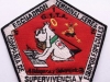 96